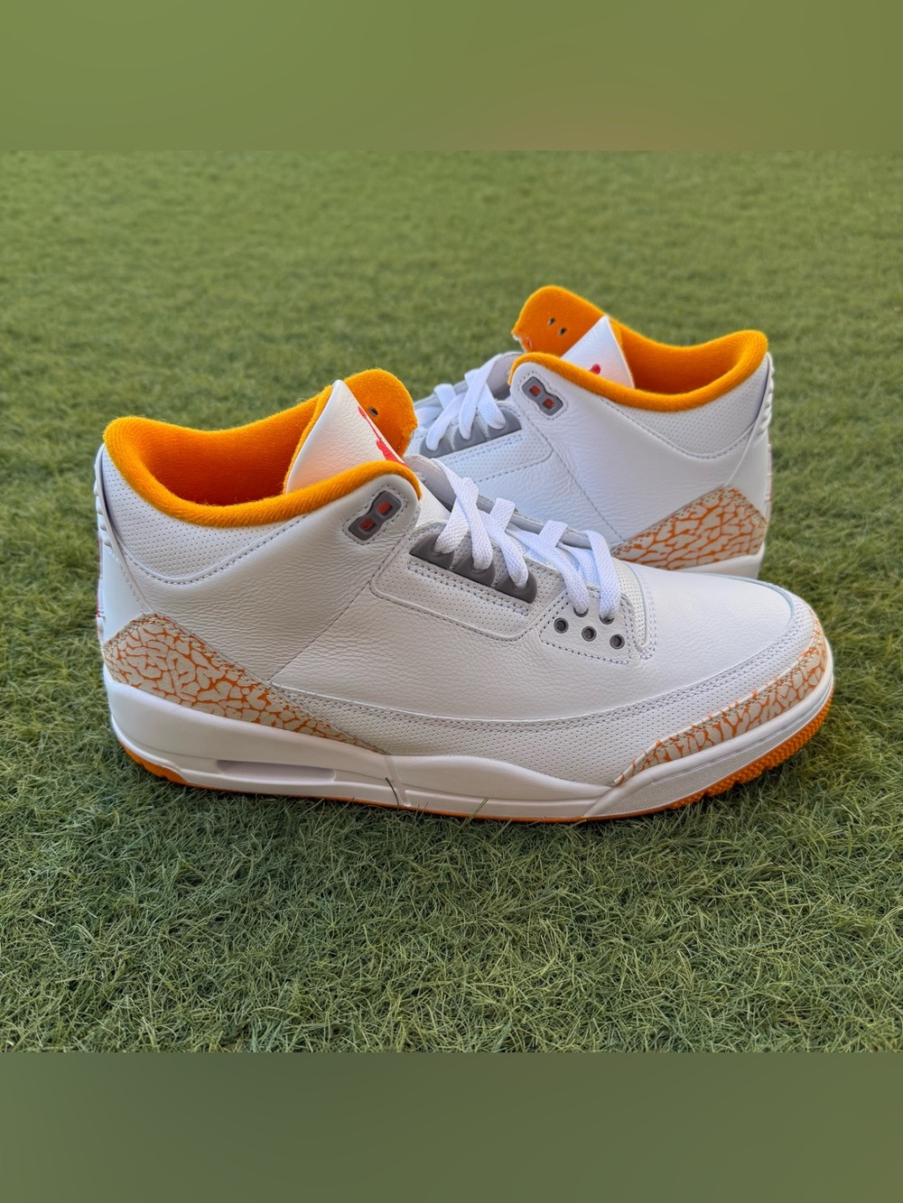 Air Jordan 3 Retro
